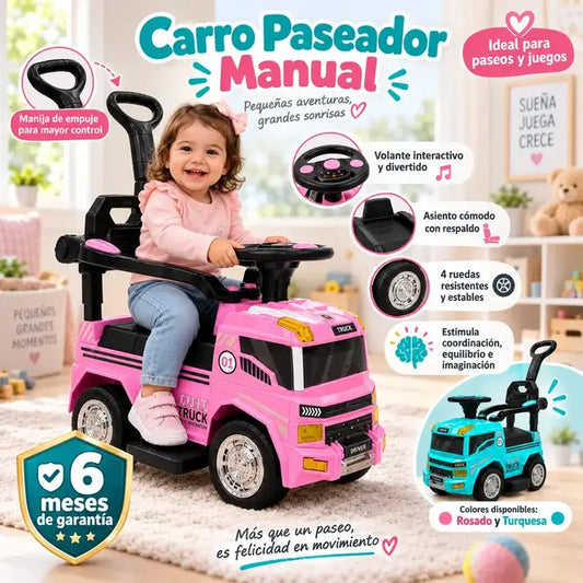 Carro paseador manual tipo camion.